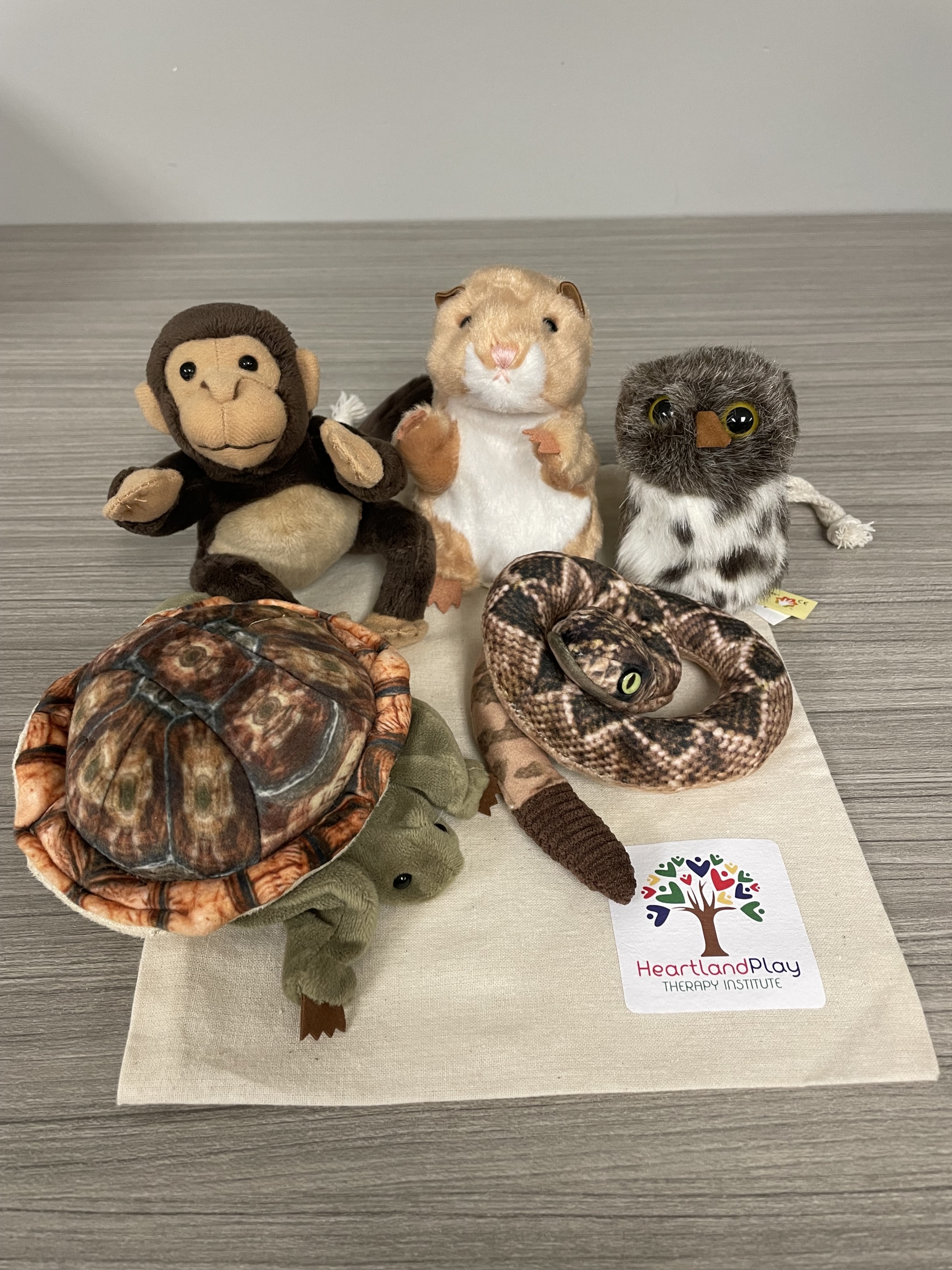 Mini Puppet Bundle – Heartland Play Therapy Institute, Inc.